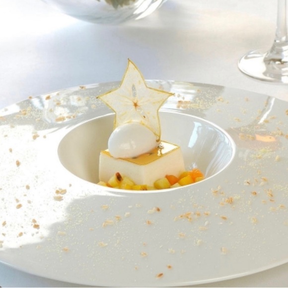 BUNDLE OF TWO Steelite Distinction Commercial Float Plates 12" Small Well Bowl - Picture 3 of 6